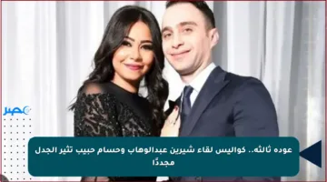 عودة ثالثة.. كواليس لقاء شيرين عبدالوهاب وحسام حبيب تثير الجدل مجددًا